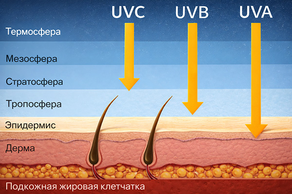 Виды ультрафиолетовых лучей